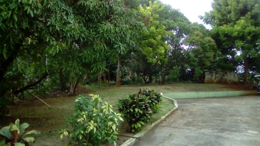 Griffiths Guest House White Hill Εξωτερικό φωτογραφία